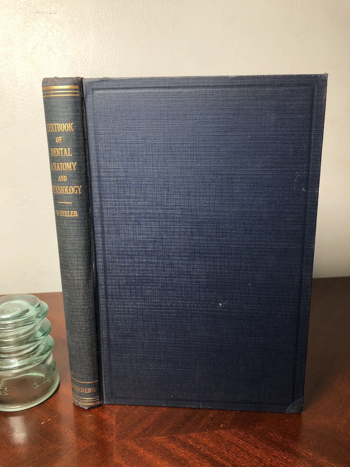 Textbook Of Dental Anatomy And Physiology, Russel C. Wheeler 1947 Photo Illust.