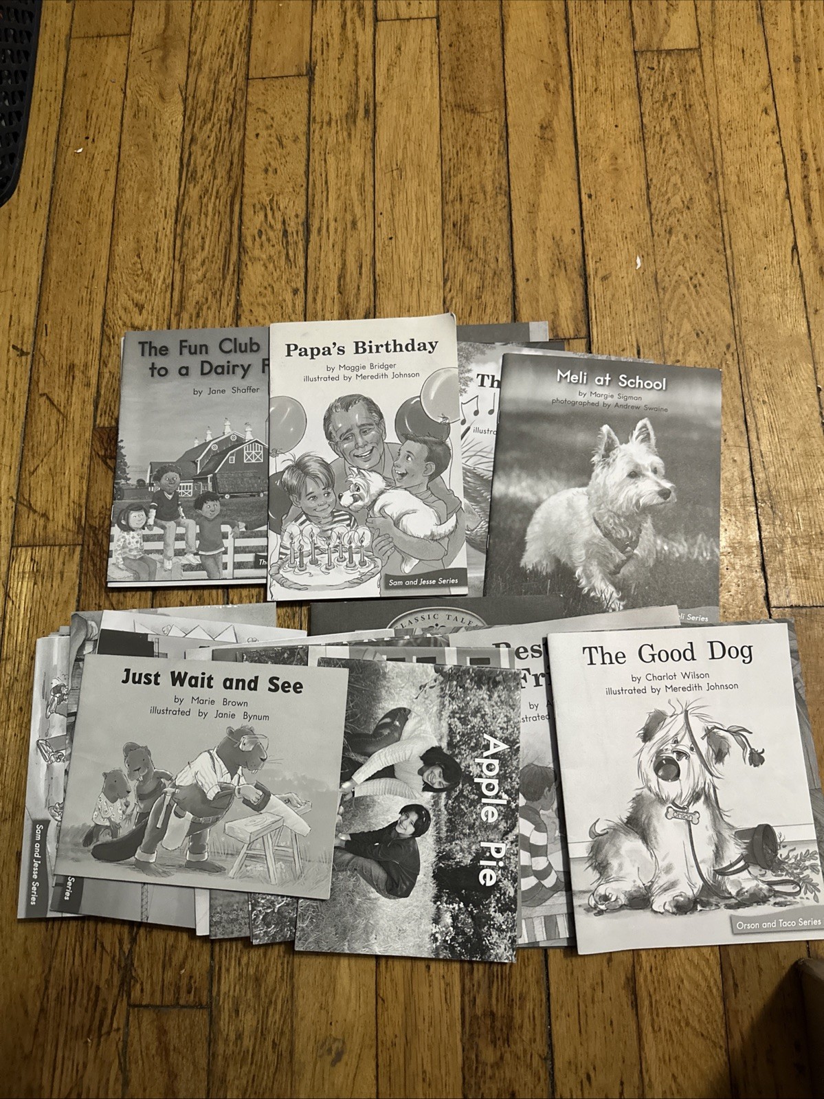 Fountas and Pinnell Lot of 39 Leveled Readers My Take Home Book Heinemann/Sails