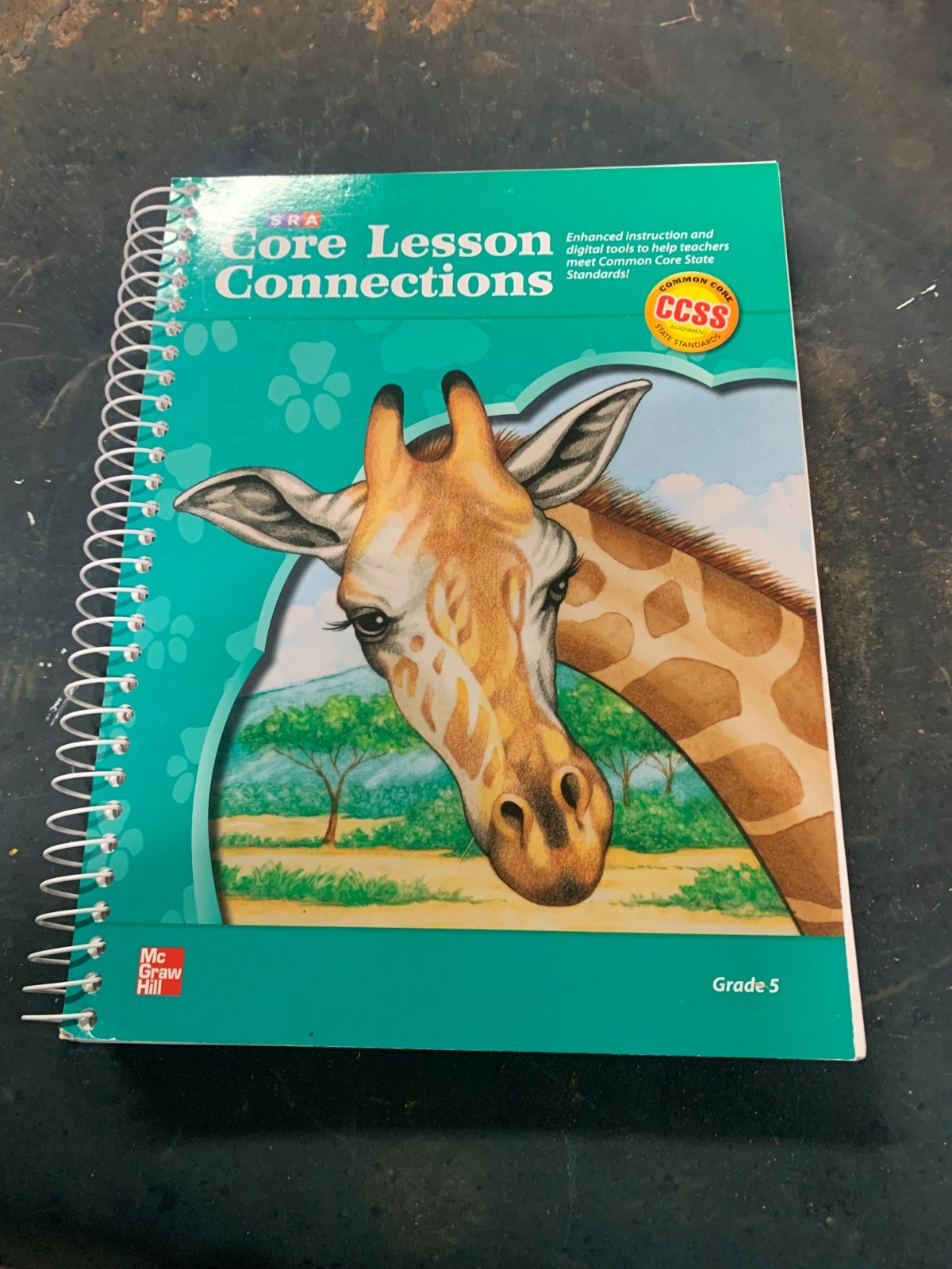 SRA Reading Mastery Level 5 Core Lesson Connections Gr 5 New 2013 McGraw-Hill