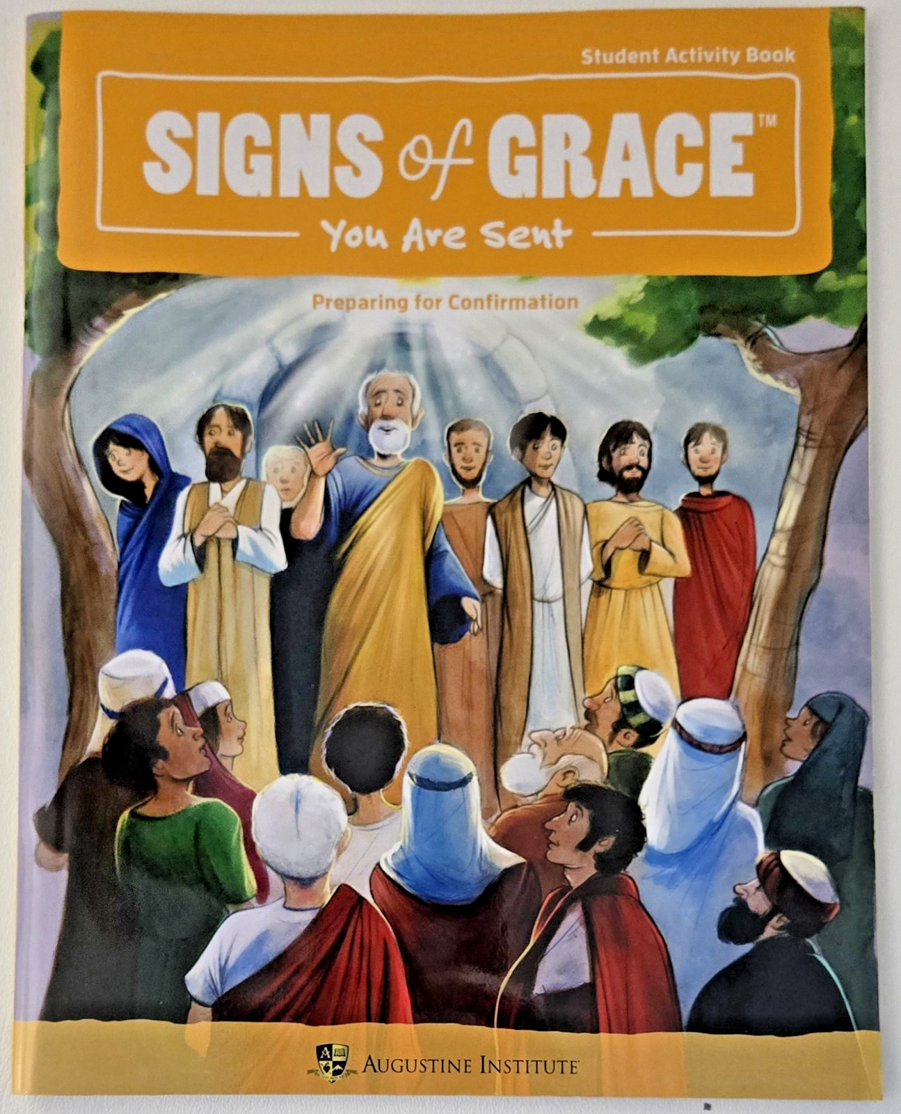 Augustine Institute – Signs of Grace: Preparing for Confirmation Student Guide