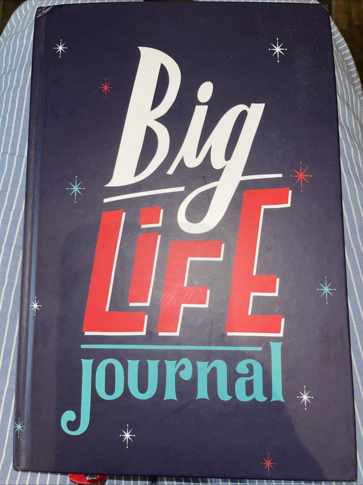 Big Life Journal : by Alexandra Eidens (2018, Hardcover) New