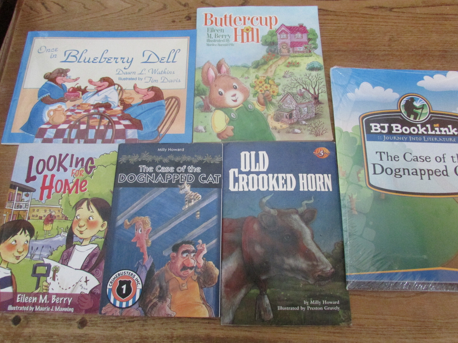 *Lot of 5* BJU Press reading books & Free booklink! LIKE NEW grade 1-3 reading