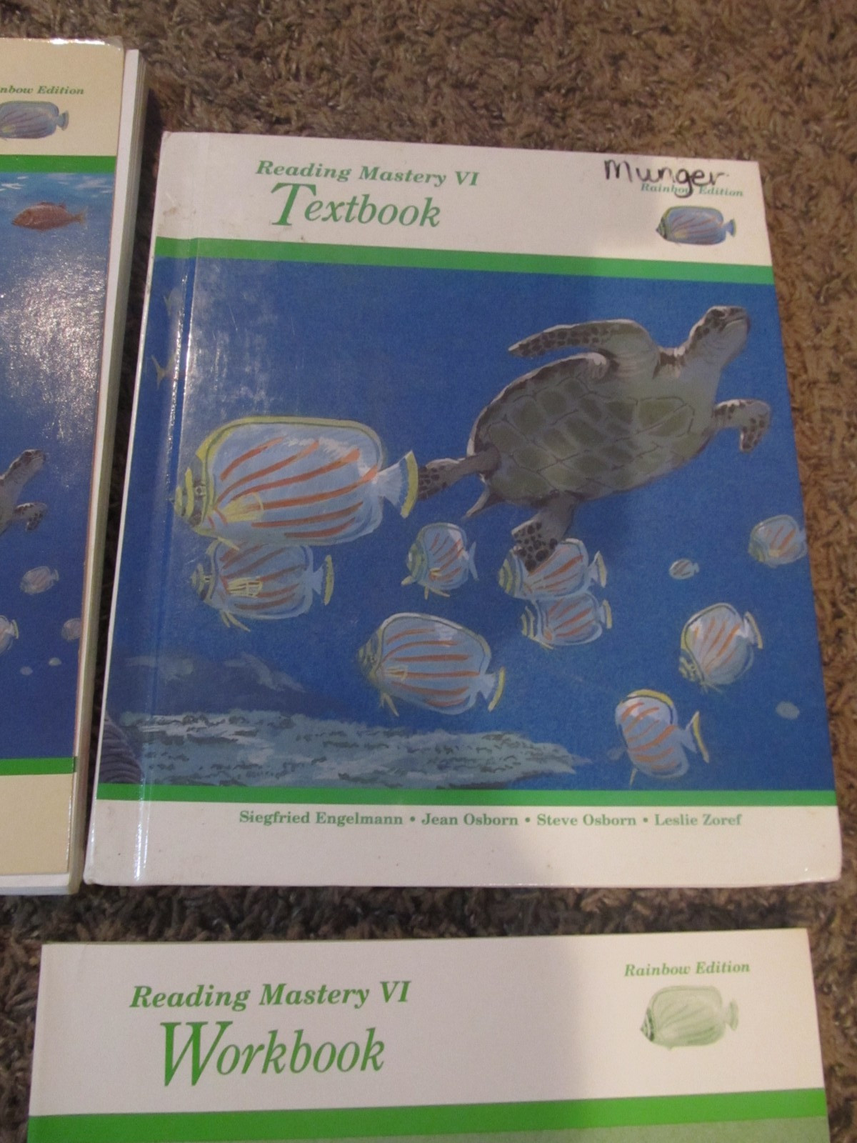 READING MASTERY VI SRA Level 6 Engelmann Rainbow Teacher Presentation Book Set