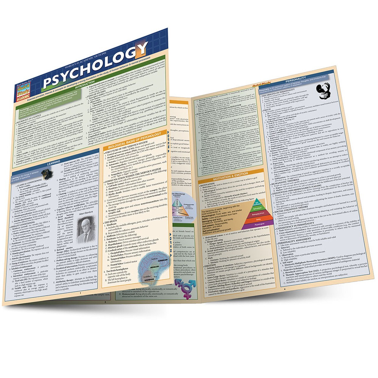 Psychology; Laminated Tri- Fold Study and Reference Guide – Brand New!