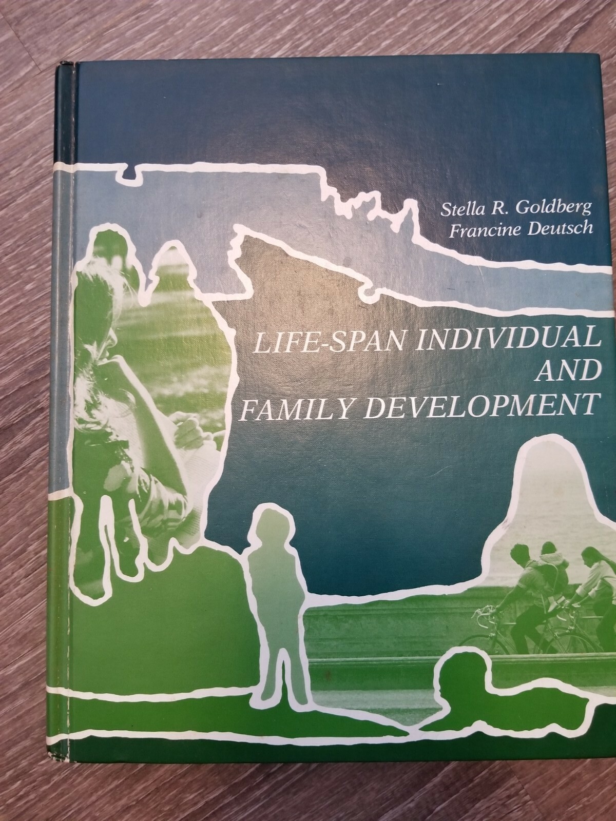 Life-Span Individual And Family Development By Stella R. Goldberg And… 1977