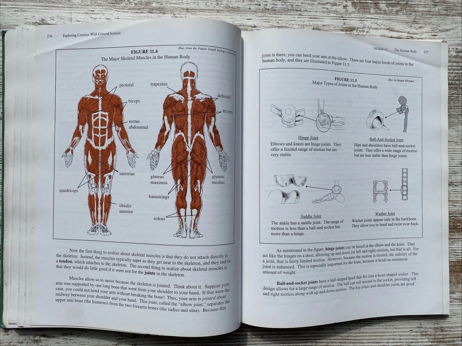Exploring Creation with General Science Student Text & Solutions Jay Wile (2001)