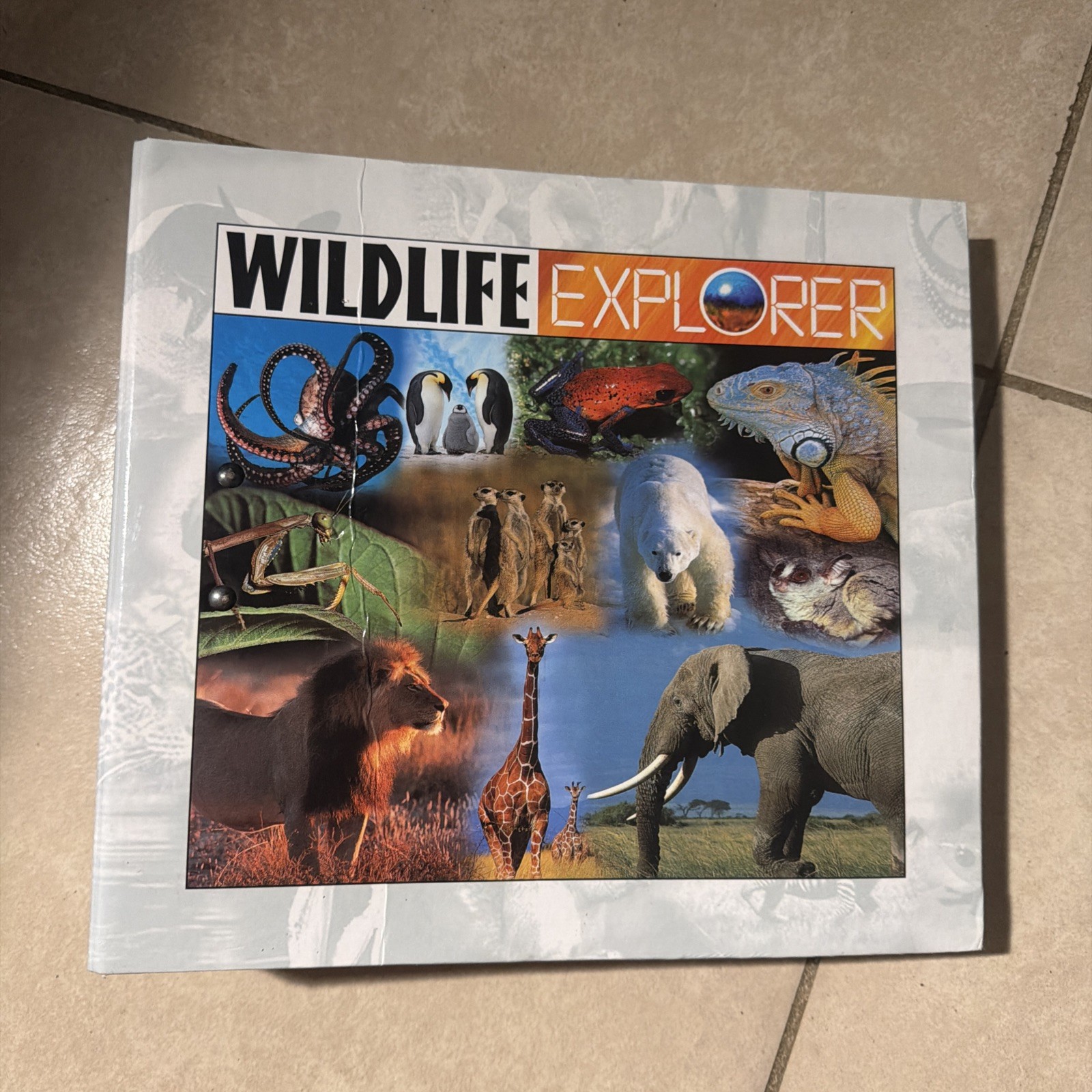 Wildlife Explorer Binders Groups 1-8 Mammals Conservation Card Set 90 cards
