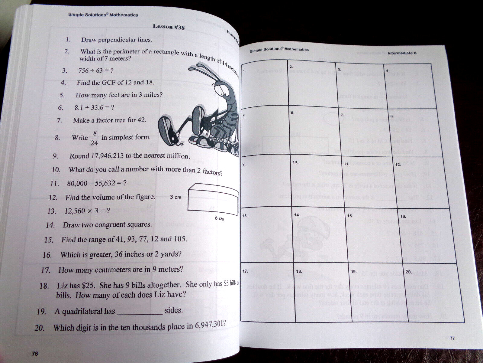 Simple Solutions Intermediate A Mathematics Student Workbook PB 2007
