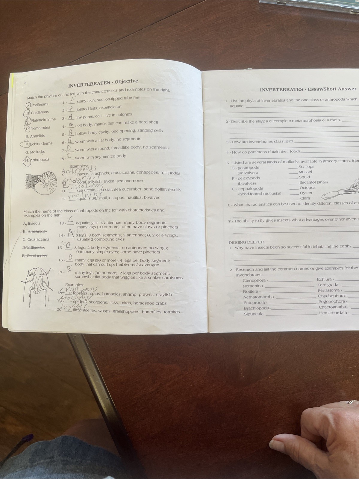 ￼ Lyrical, Life, Science, Cd Textbook And Workbook. Please See Pictures.