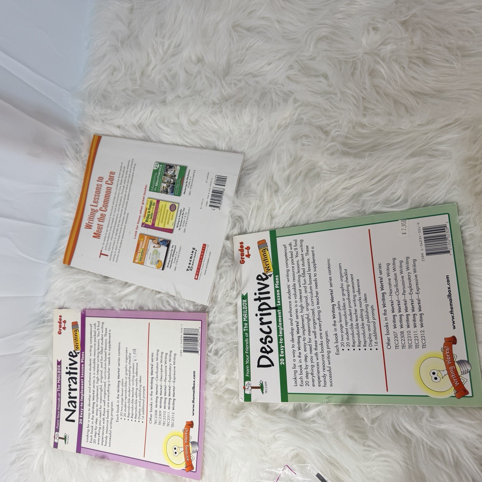 USED Scholastic and Mailbox Descriptive & Narrative Writing Instructional Books