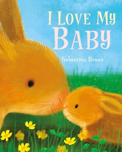 I Love My Baby by Sebastien Braun Board book Book The Fast Free Shipping