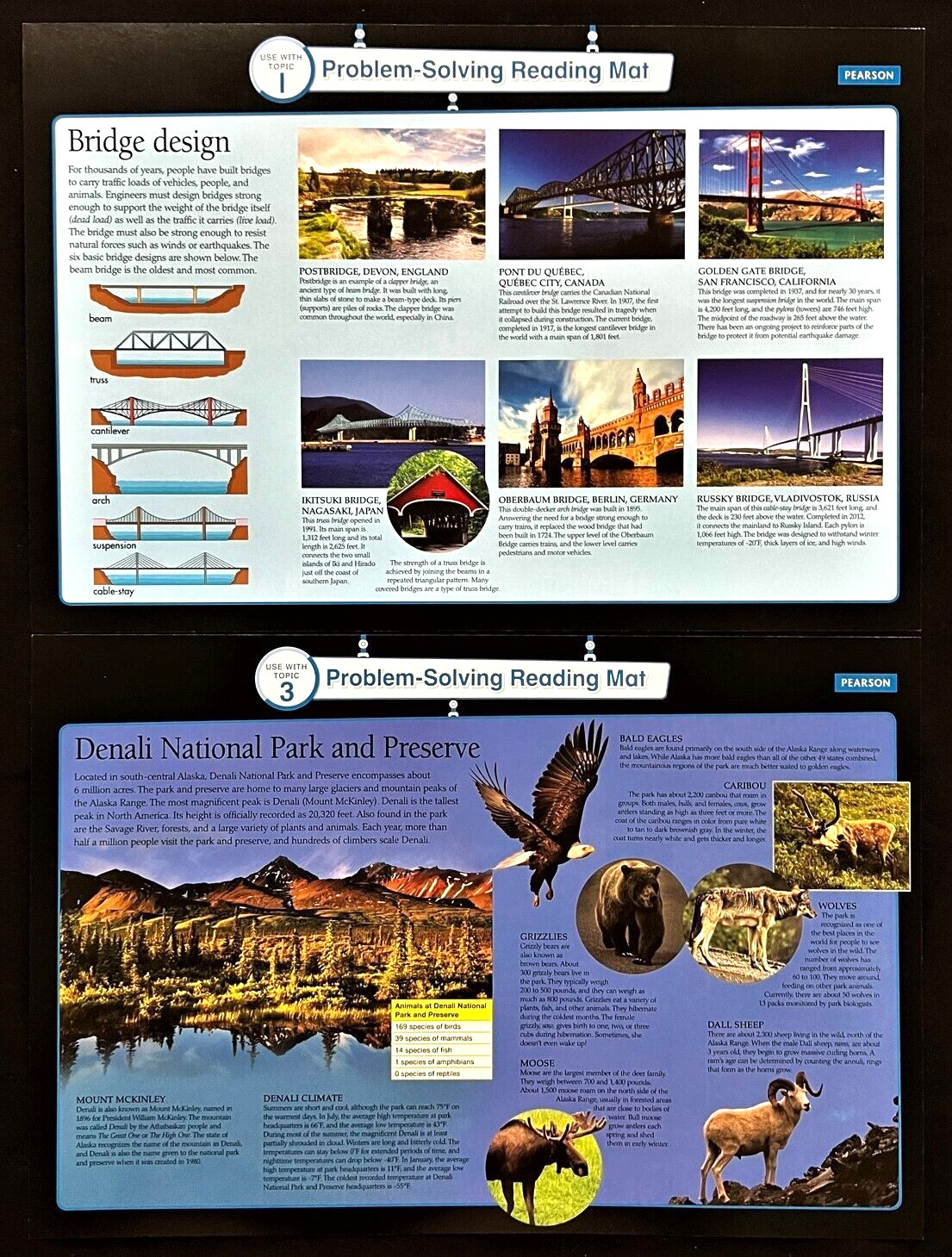 6th Grade – Math enVision 2.0 – 16 PROBLEM-SOLVING READING MATS (2016, Pearson)