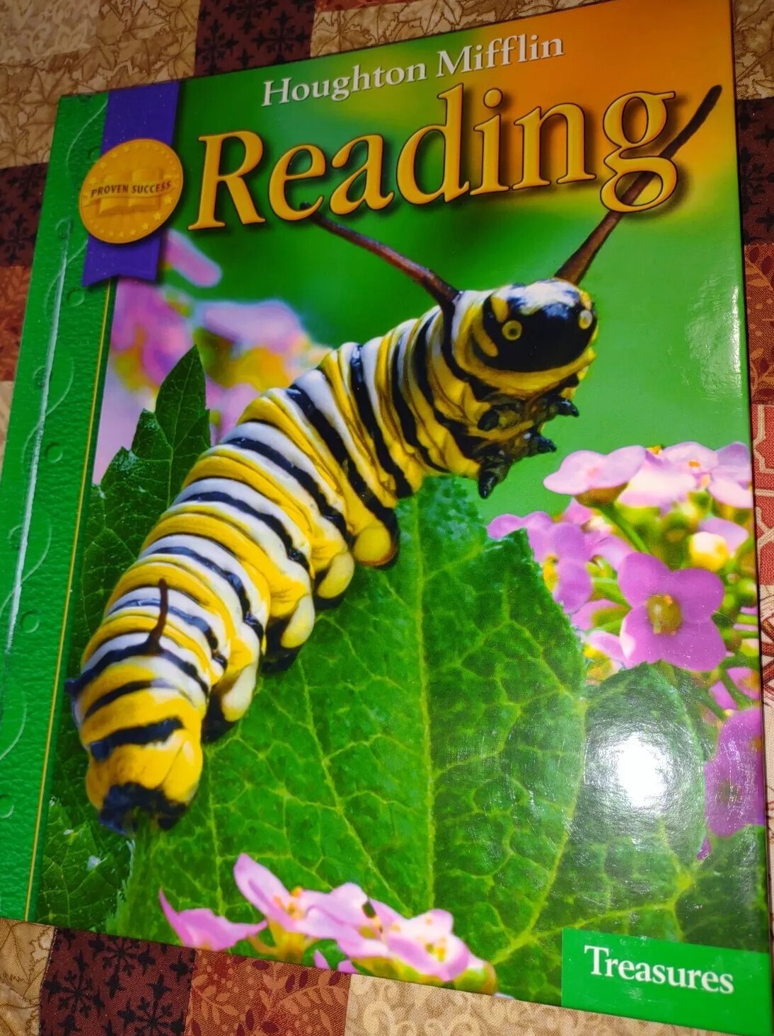Houghton Mifflin Reading: Student Edition Grade 1.4 Treasures – New