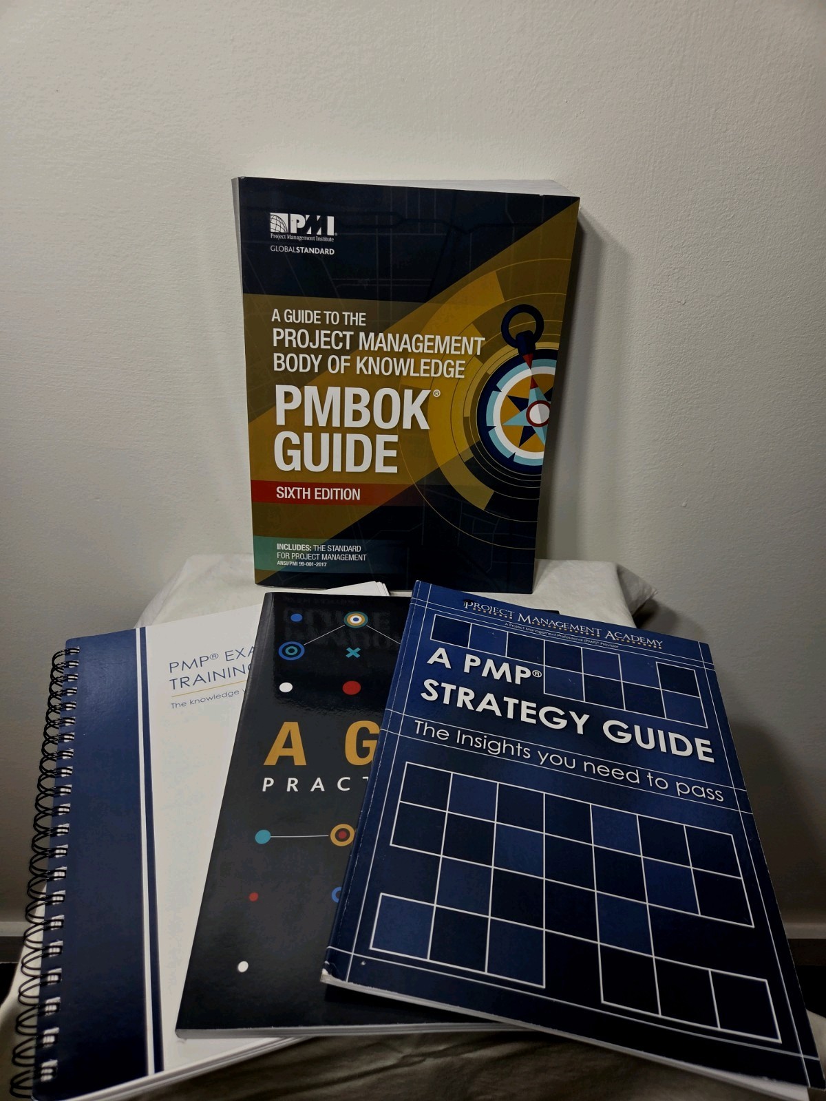 Project Management Institute Guide Sixth Edition, Agile, PMP Exam Prep Bundle