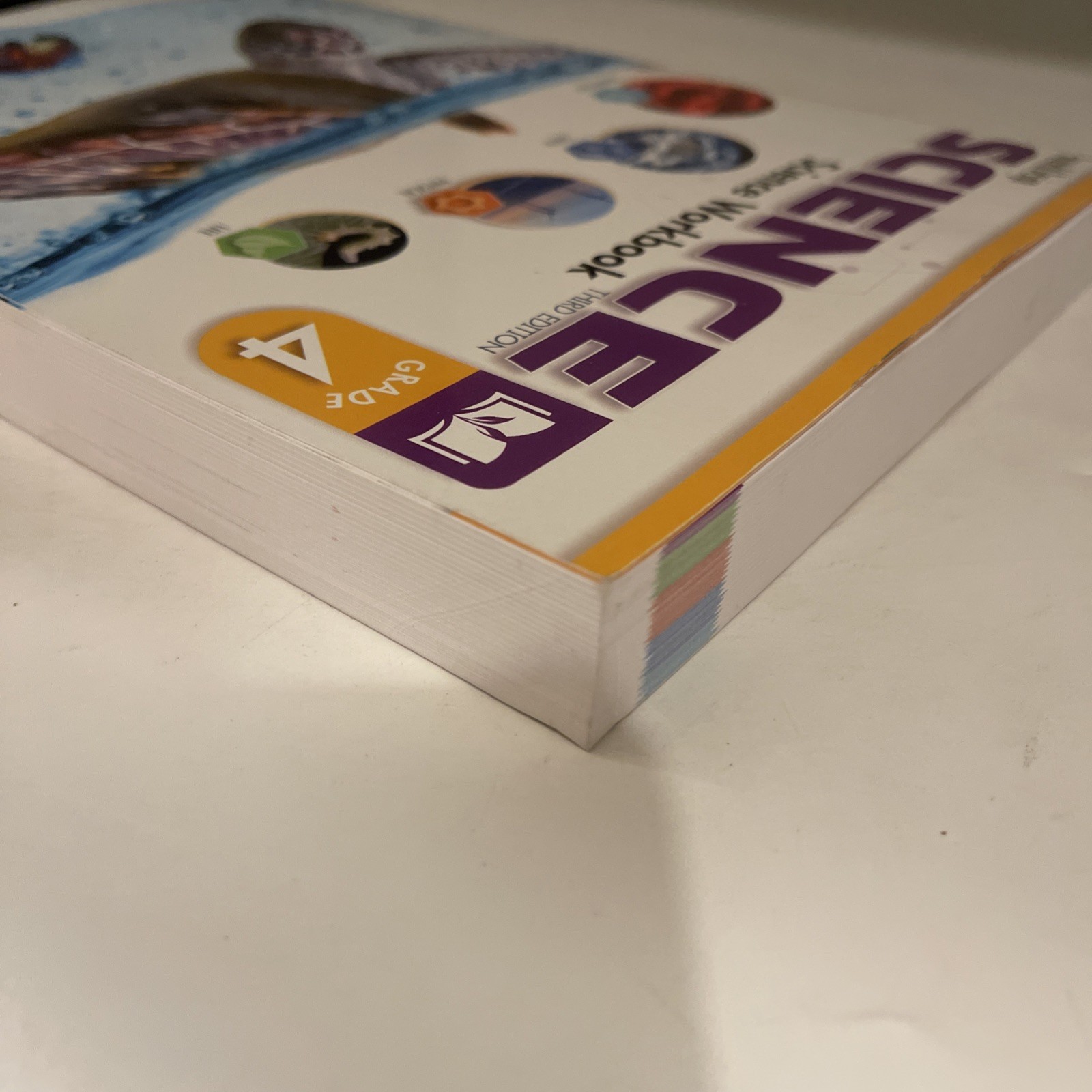 Purposeful Design: Science Workbook 3rd Edition Grade 4 Paperback ACIS