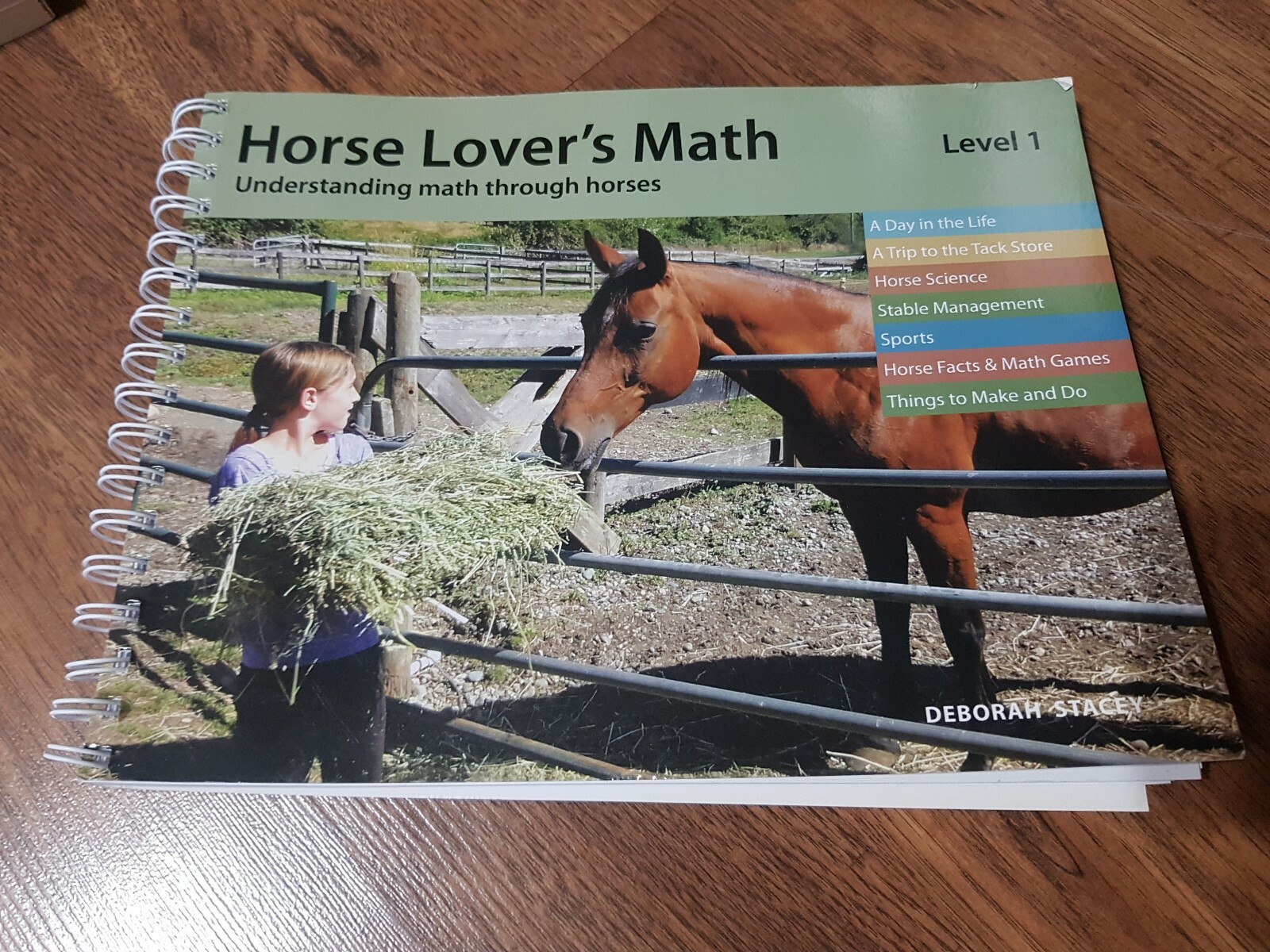 Horse Lover’s Math Level 1 Understanding Math Through Horses Imperial Version VG