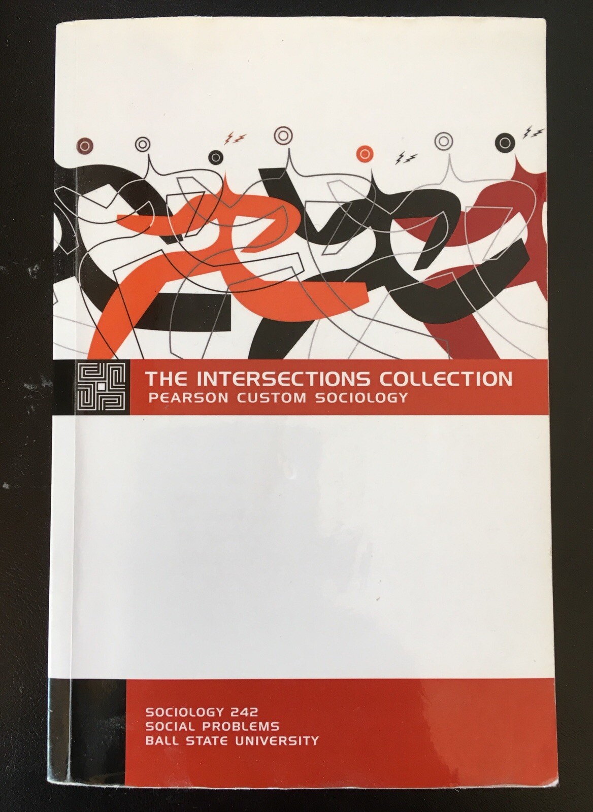 The Intersections Collection Pearson Custom Sociology Social Problems 2009