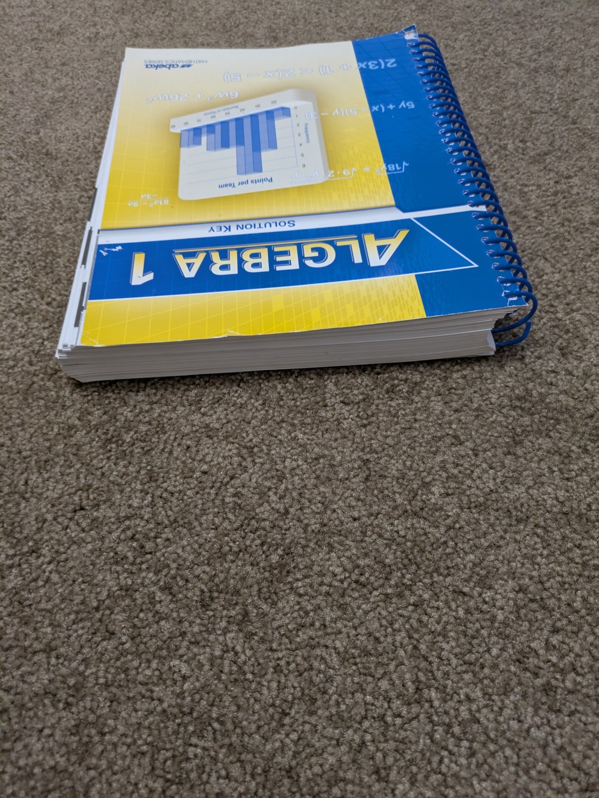 Abeka Algebra 1 Solution Key Homeschooling Teacher Manual 9th Grade