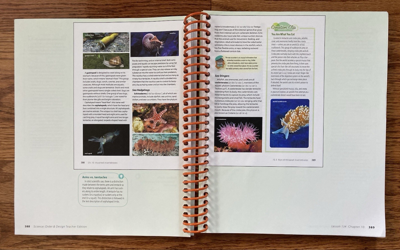 Abeka Science Order and Design Second Edition Teacher Edition Volumes 1 and 2