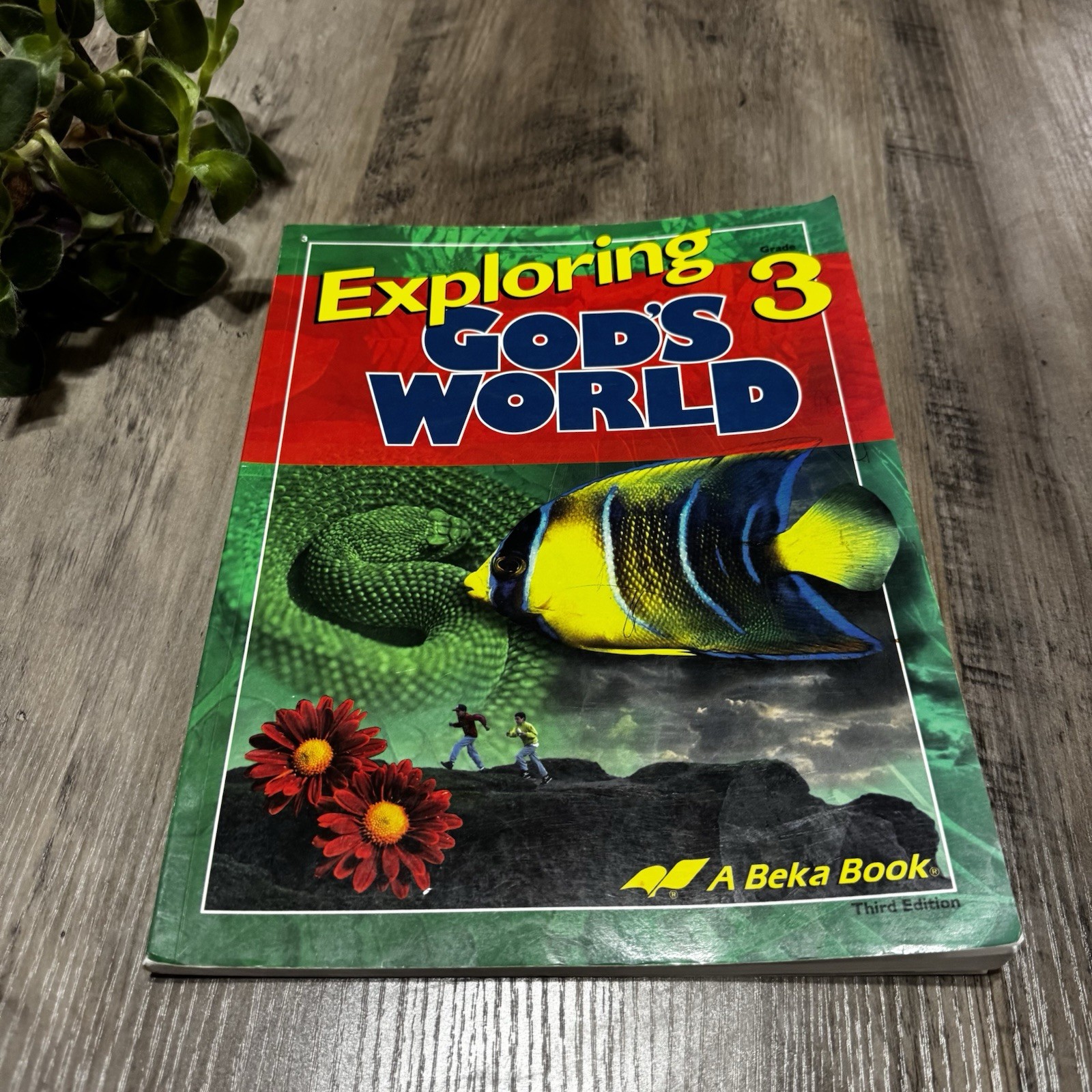 Exploring God’s World 3 A Beka Book Third Edition