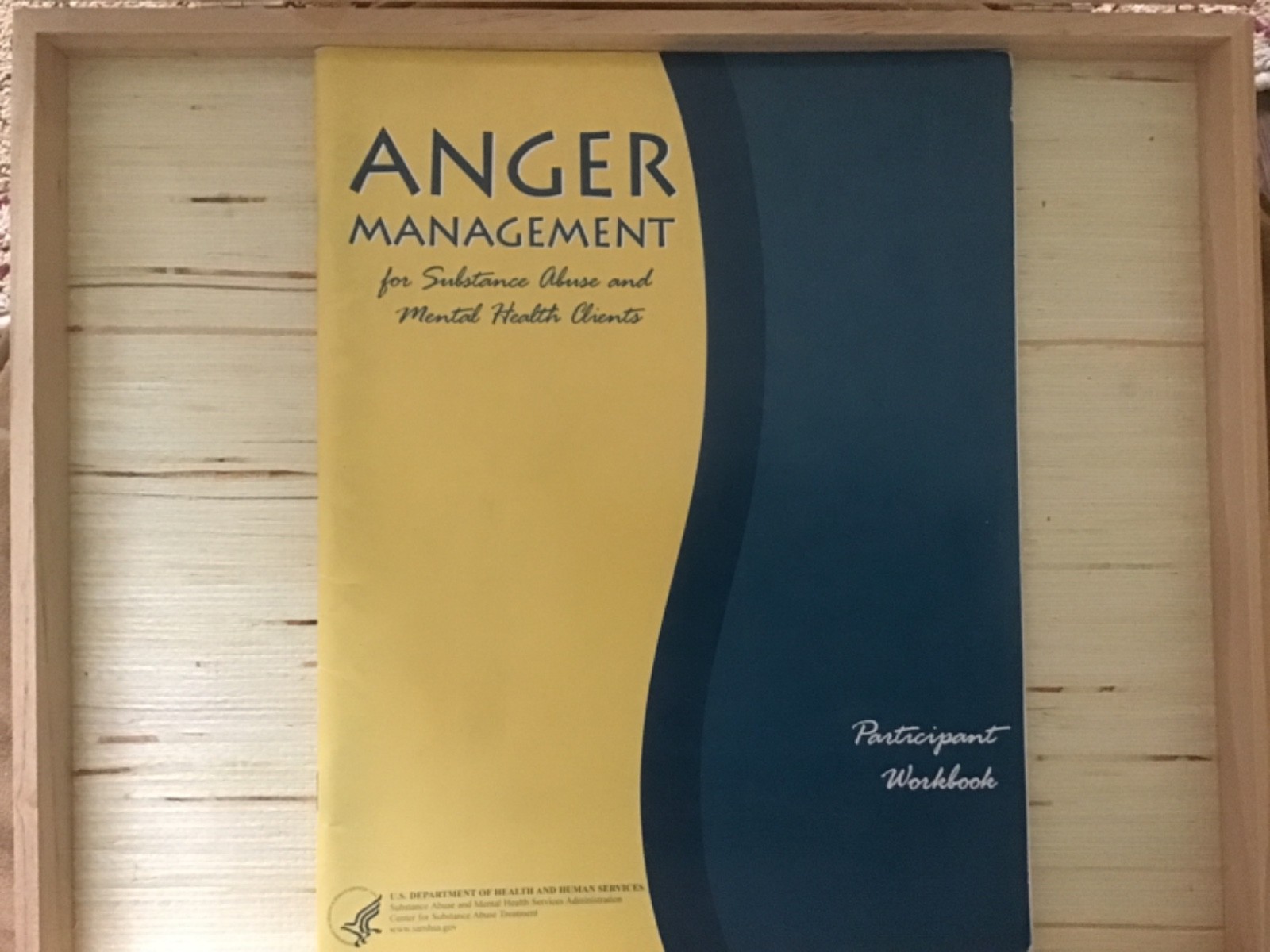 Anger Management for Substance Abuse and Mental Health Participant Workbook