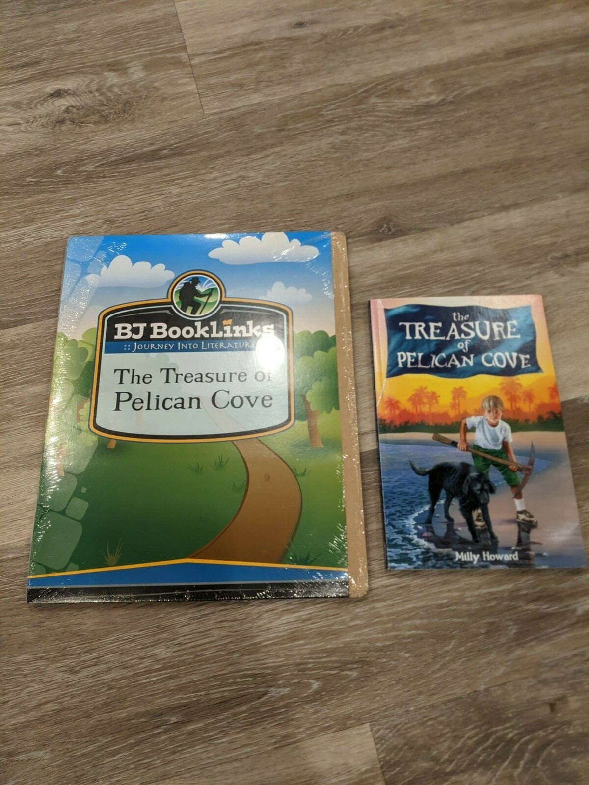 BJU The Treasure of Pelican Cove BJ Booklinks Teacher guide AND book