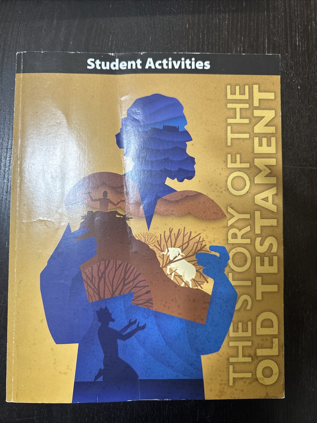 The Story Of The Old Testament – BJU Press Christian Homeschool Curriculum