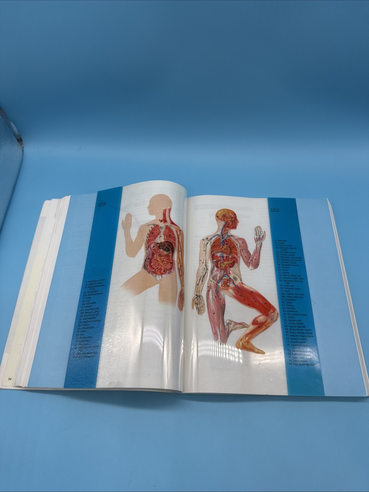 ABeka Biology Student Text (4th Edition) 10th Grade Science