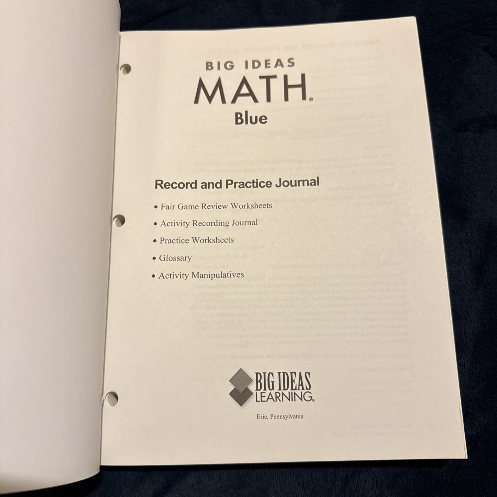 BIG IDEAS MATH: Record & Practice Journal Blue Homeschool