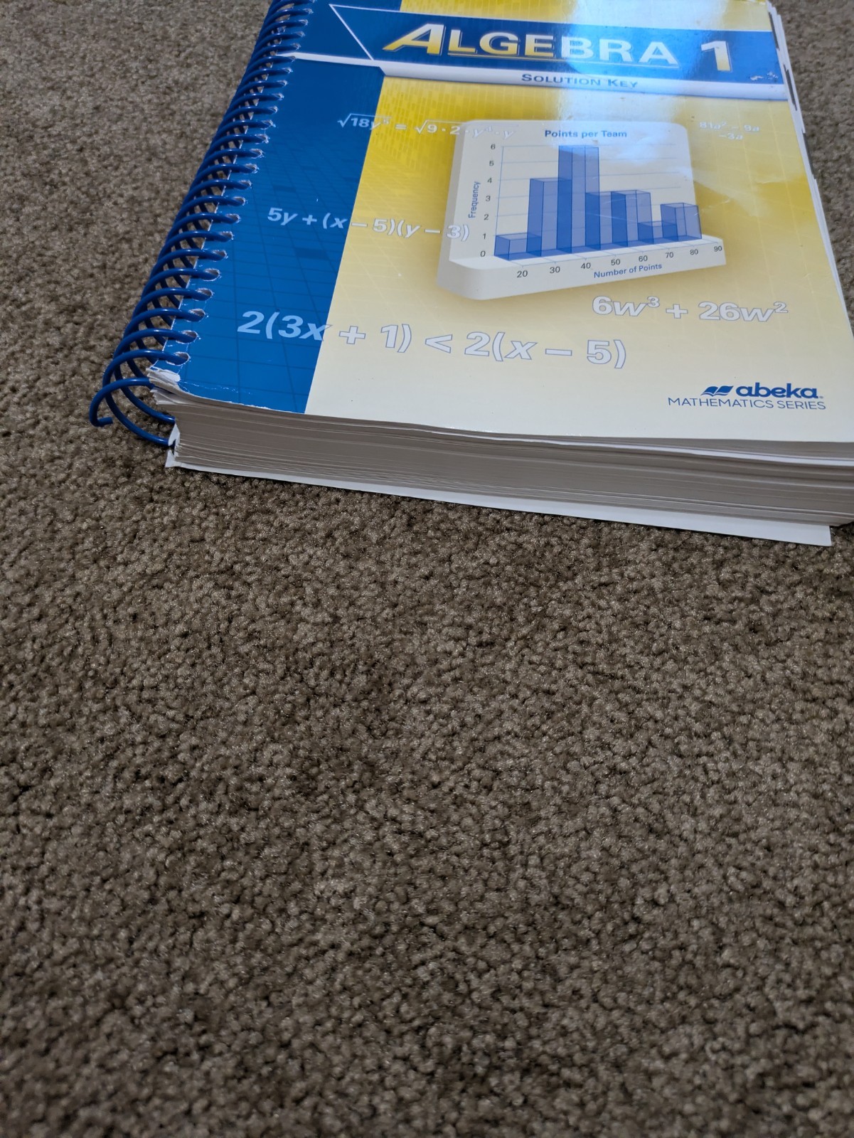 Abeka Algebra 1 Solution Key Homeschooling Teacher Manual 9th Grade