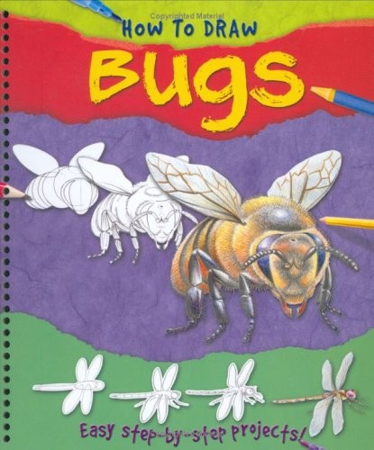How to Draw Bugs by Regan, Lisa Spiral bound Book The Fast Free Shipping