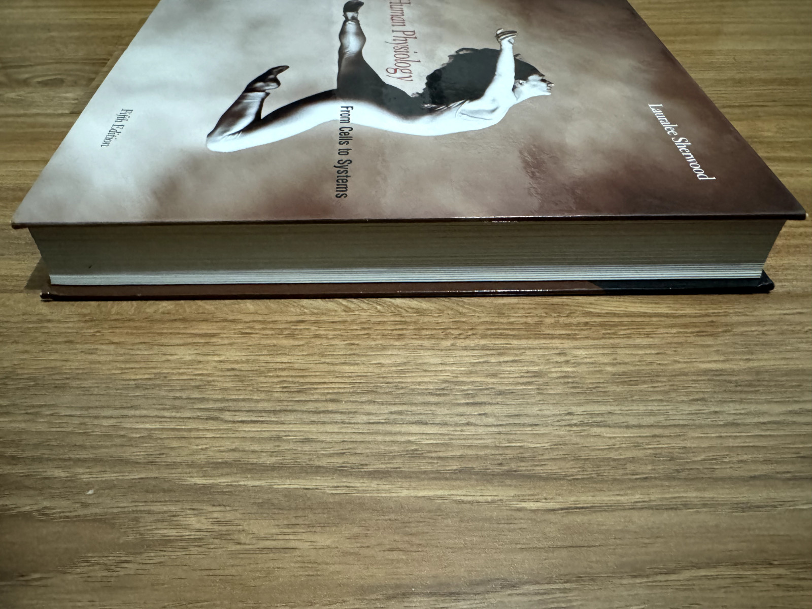 Human Physiology: From Cells to Systems by Lauralee Sherwood (Hardcover, 2003)