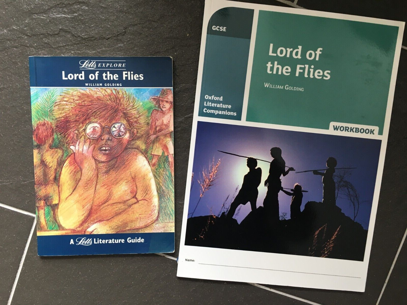 LORD OF THE FLIES GCSE workbook and Letts Guide