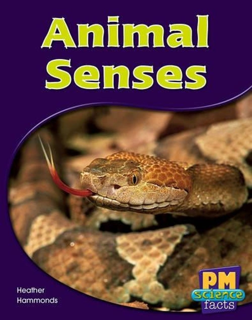 Animal Senses 1st Edition by Annette Smith (English) Paperback Book