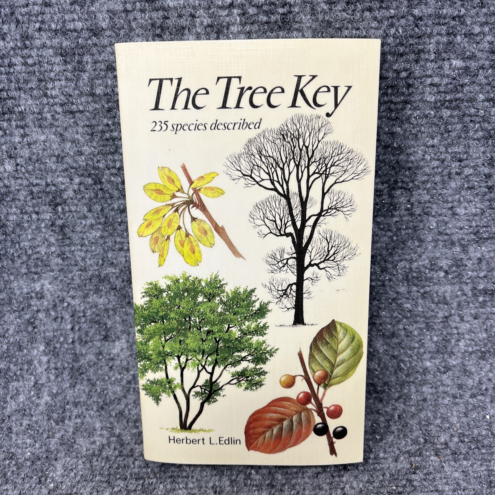The Tree Key: A Guide to Identification in Garden by Herbert, Edlin Illustrated