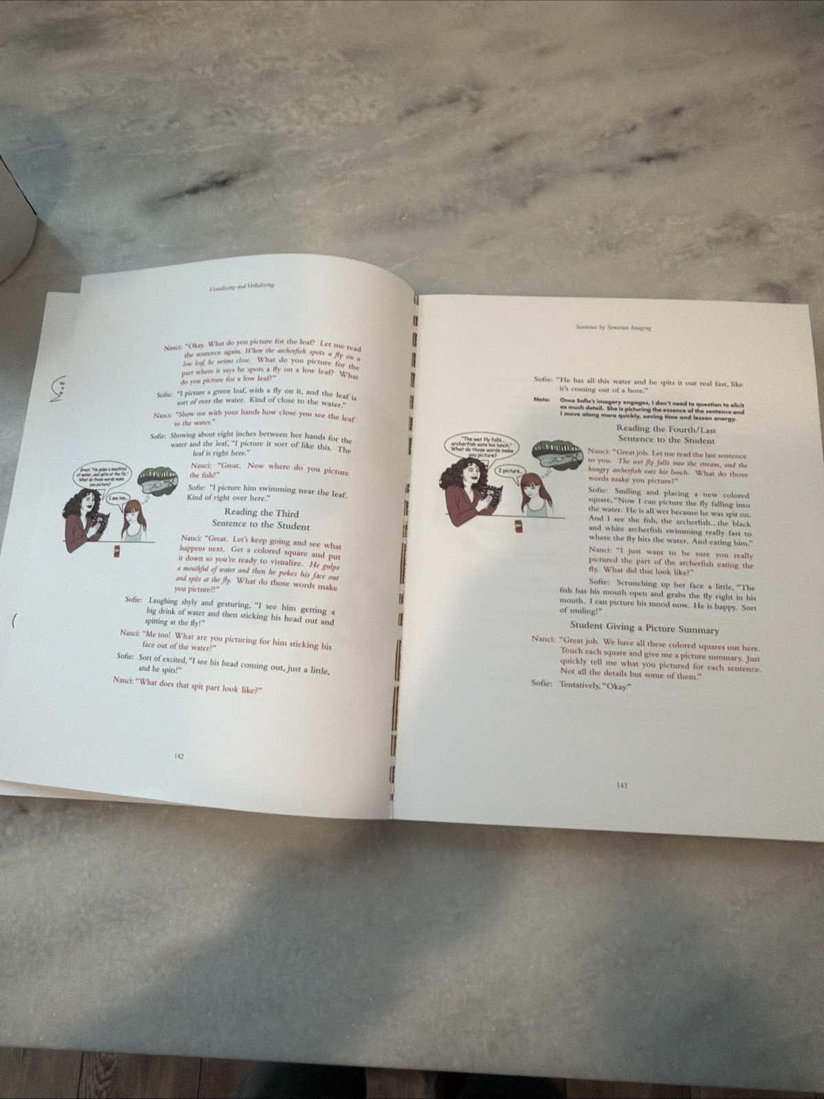 Visualizing and Verbalizing by Nanci Bell 2nd Edition