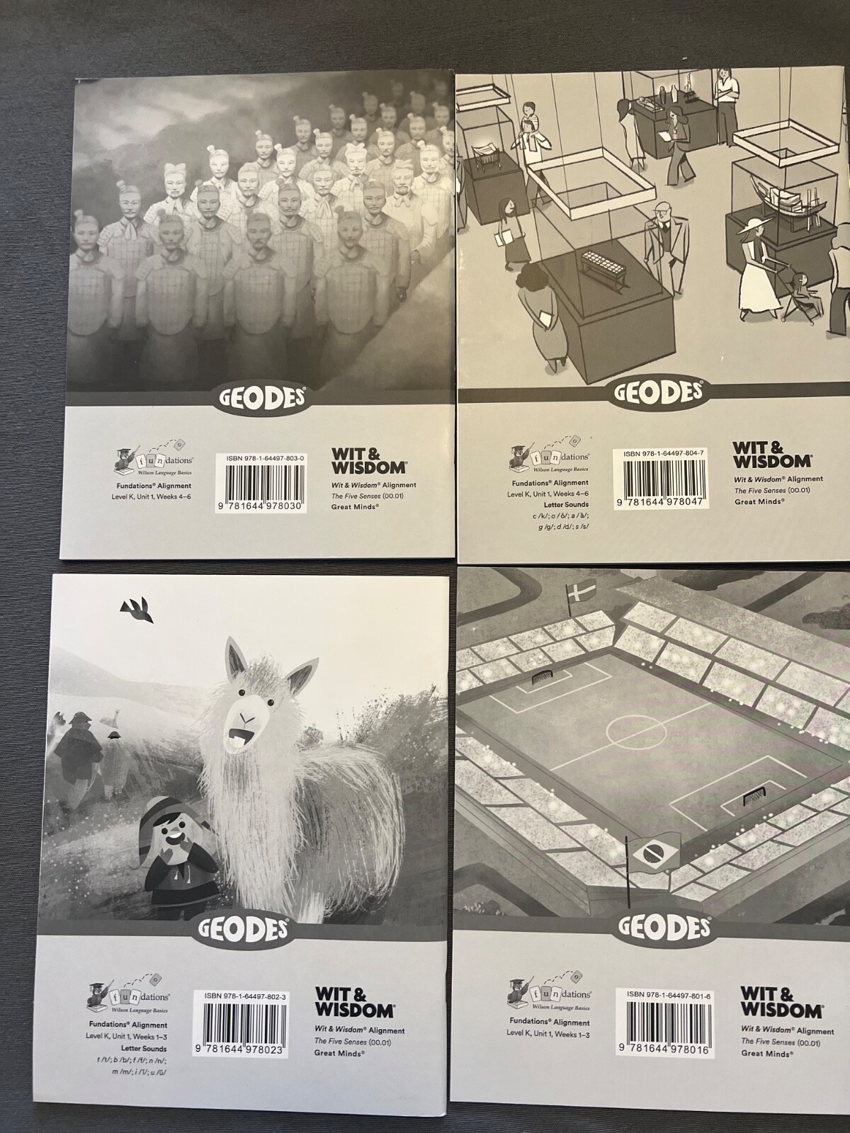 Geodes Wilson Fundations books decodable readers. Level K
