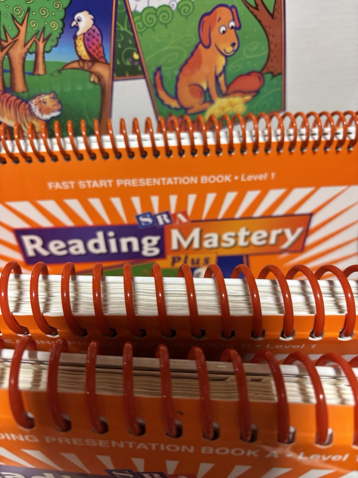 SRA Reading Mastery Plus Level 1 Reading Program Direct Instruction Reading