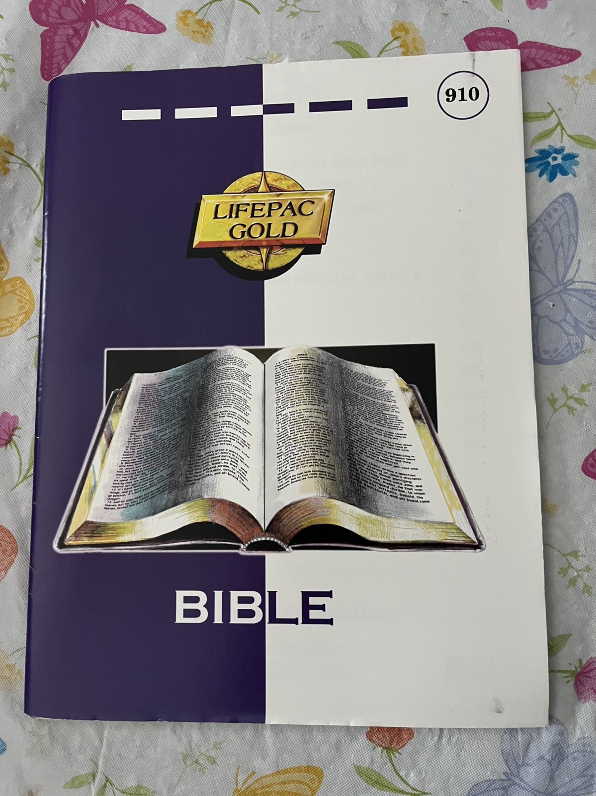 Lifepac Bible Grade 9 Unit 10