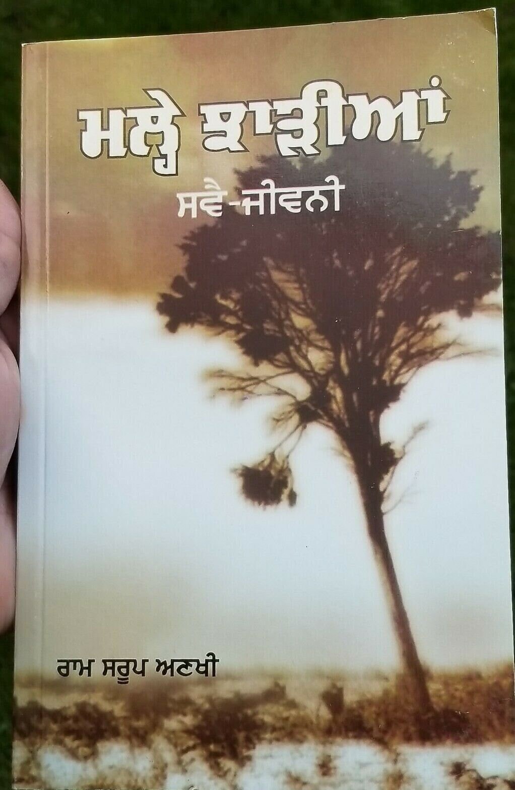 Kille Naal Banhiya Admi Ram Saroop Ankhi Literature Punjabi Reading Book B56