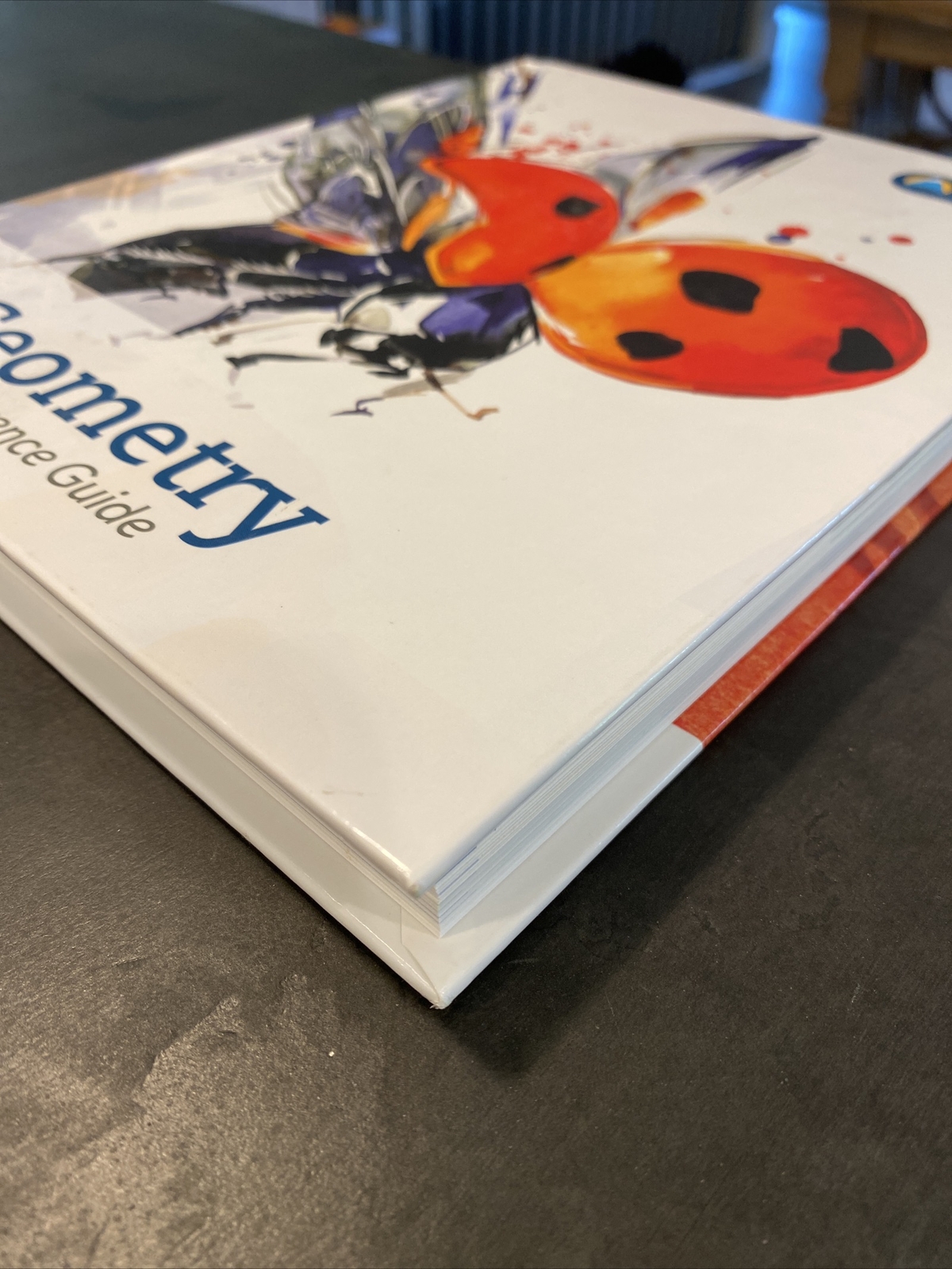 Geometry A Reference Guide K-12 Summit Curriculum Textbook 2016