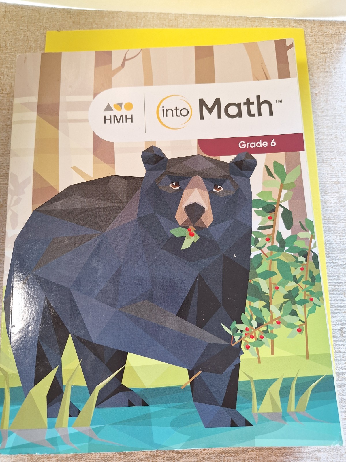 Into Math: Grade 6; Getting Ready For Assessment Student Edition HoughtonMifflin