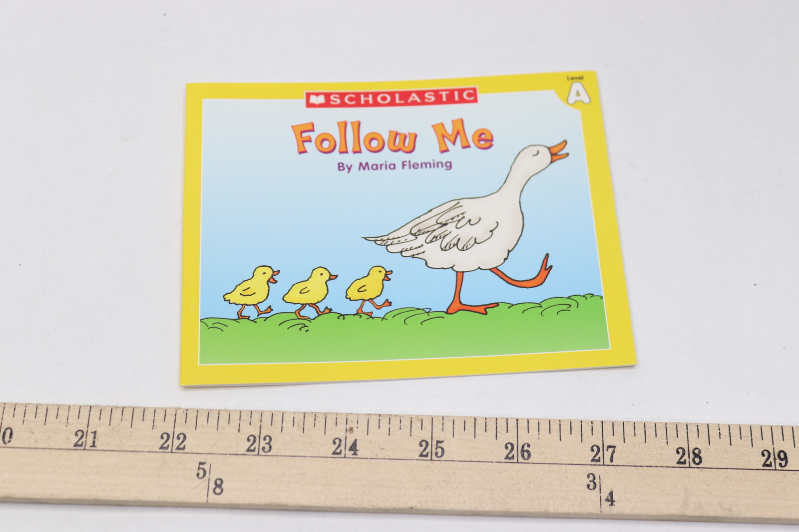 Level A Little Leveled Readers: Follow Me By Maria Fleming