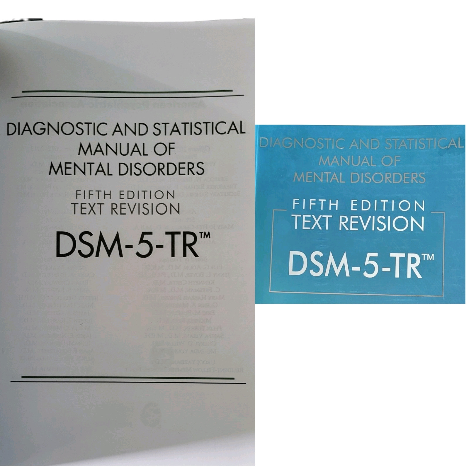 DSM-5-TR Diagnostic and Statistical Manual of Mental Disorders by American