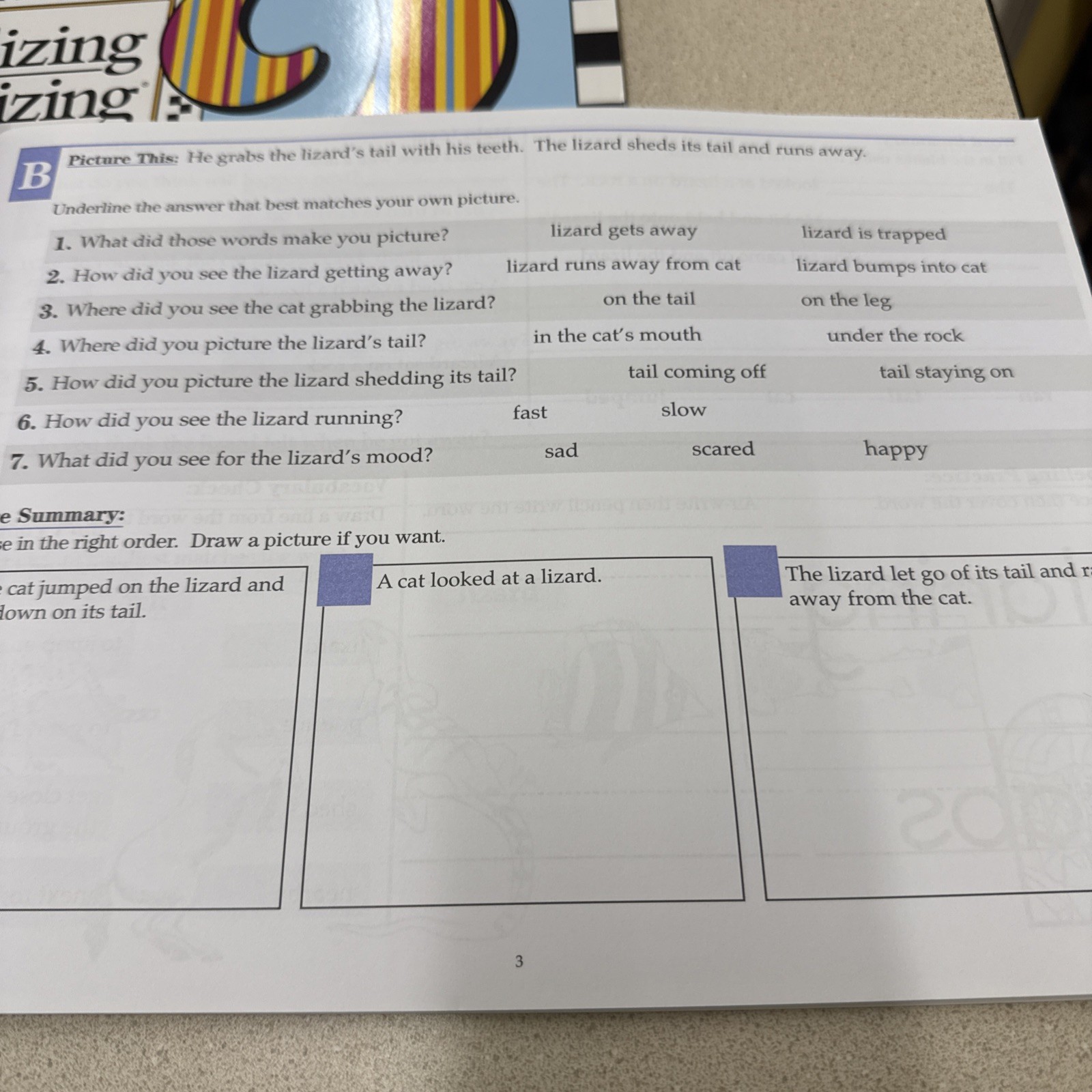 Visualizing And Verbalizing Grade 2 Workbook AB&C By Nanci Bell
