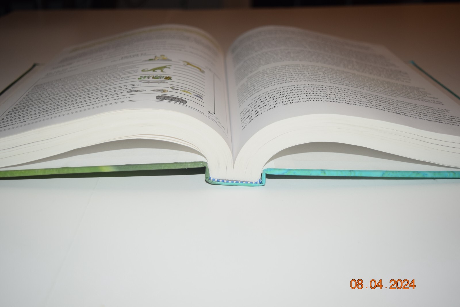 APOLOGIA Exploring Creation with Biology Textbook/Solutions & Tests Bk/Free Ship