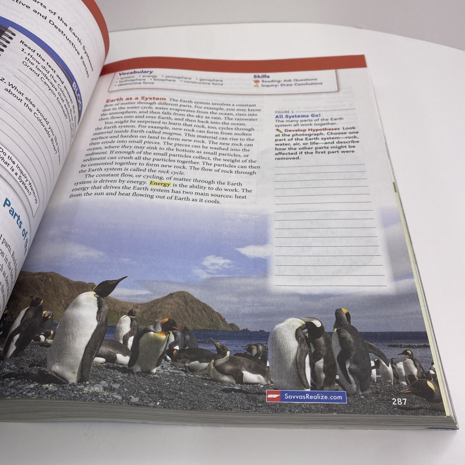 TN Middle School Grade 8 Interactive Science Textbook 2019 Pearson No Writing