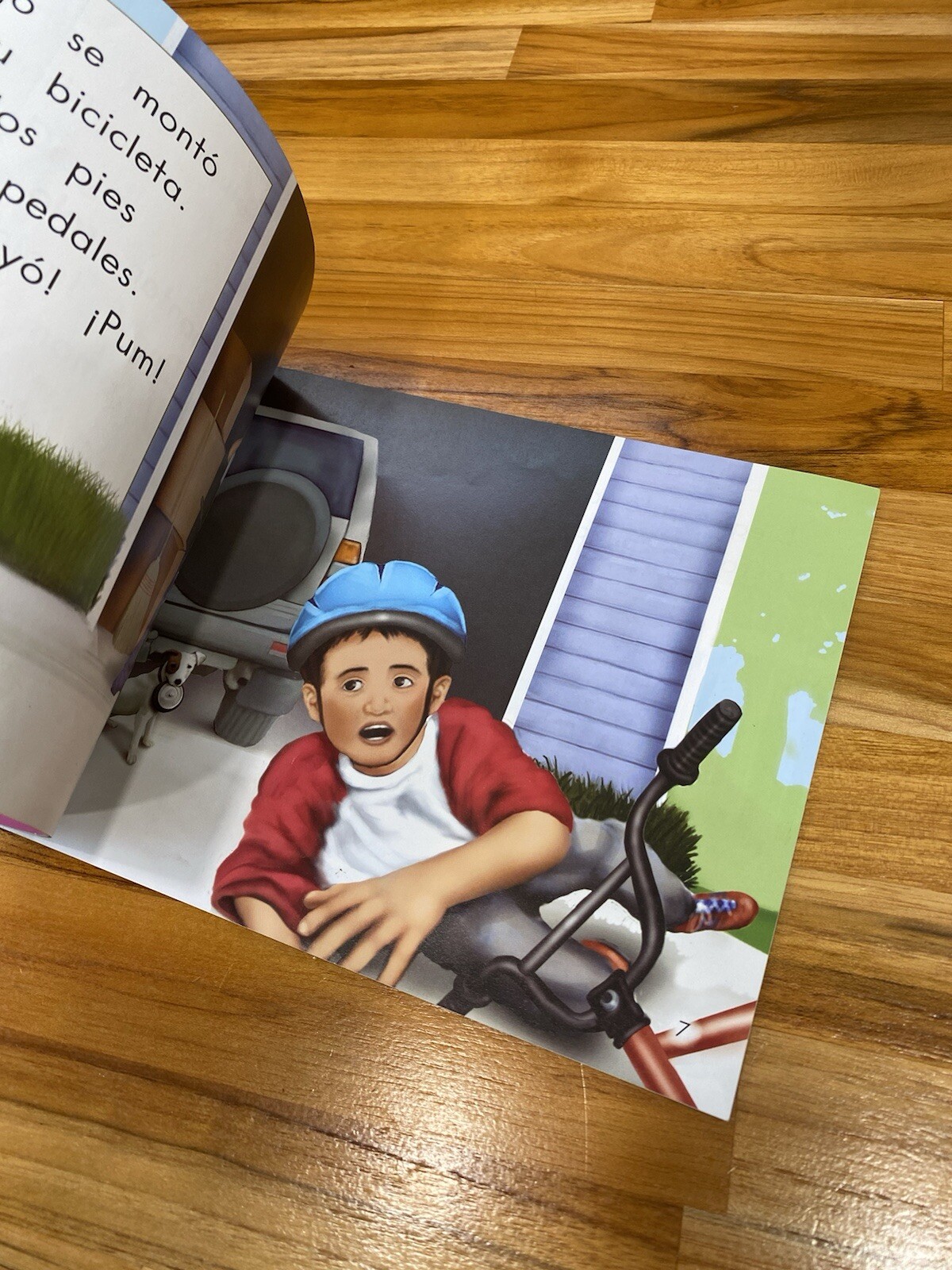 FOUNTAS & PINNELL Spanish Leveled Readers Grades K-2 Levels A-N Benchmark Assess