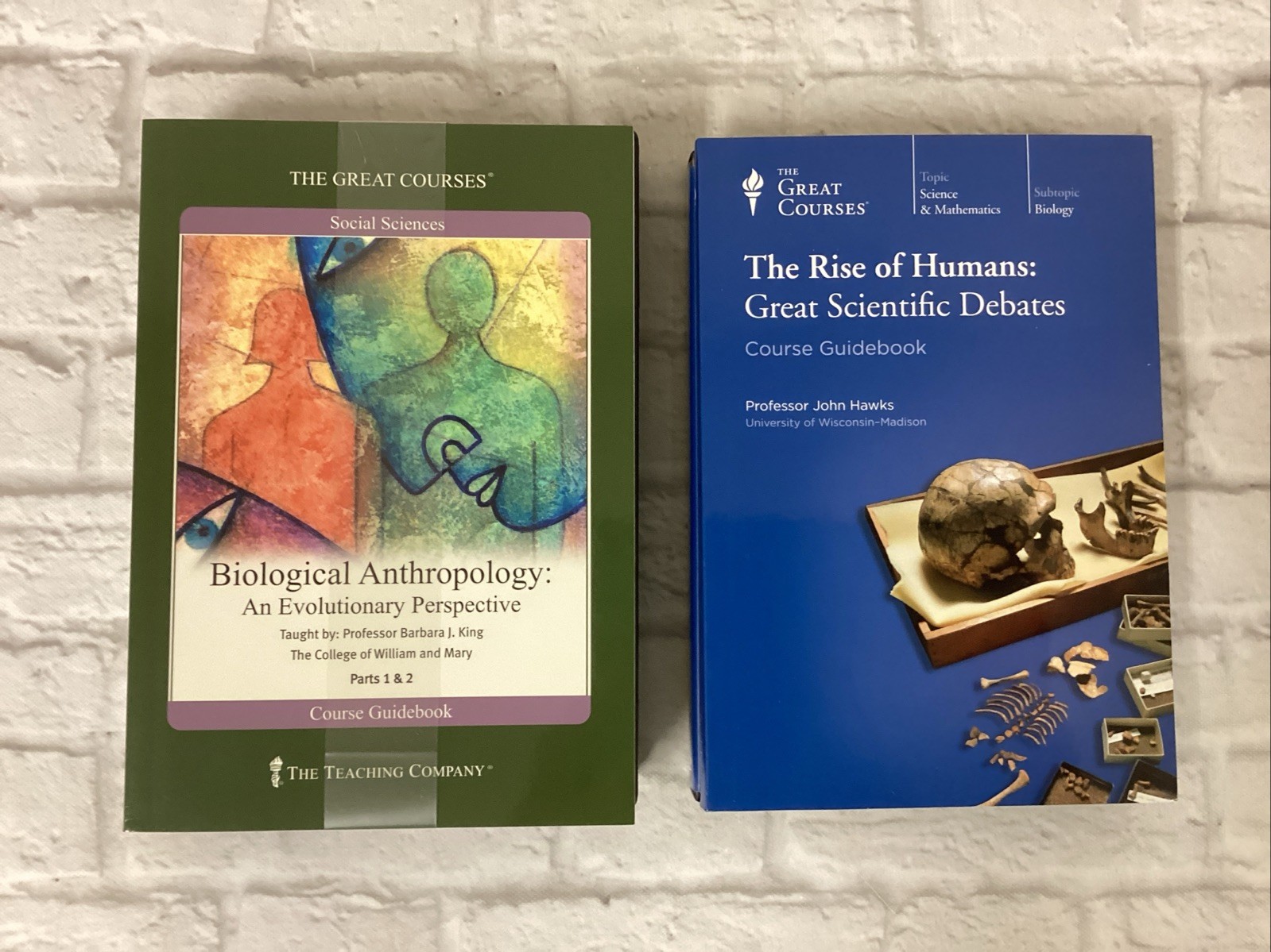 Great Courses, 2 Course Lot, Biological Anthropology, The Rise Of Humans