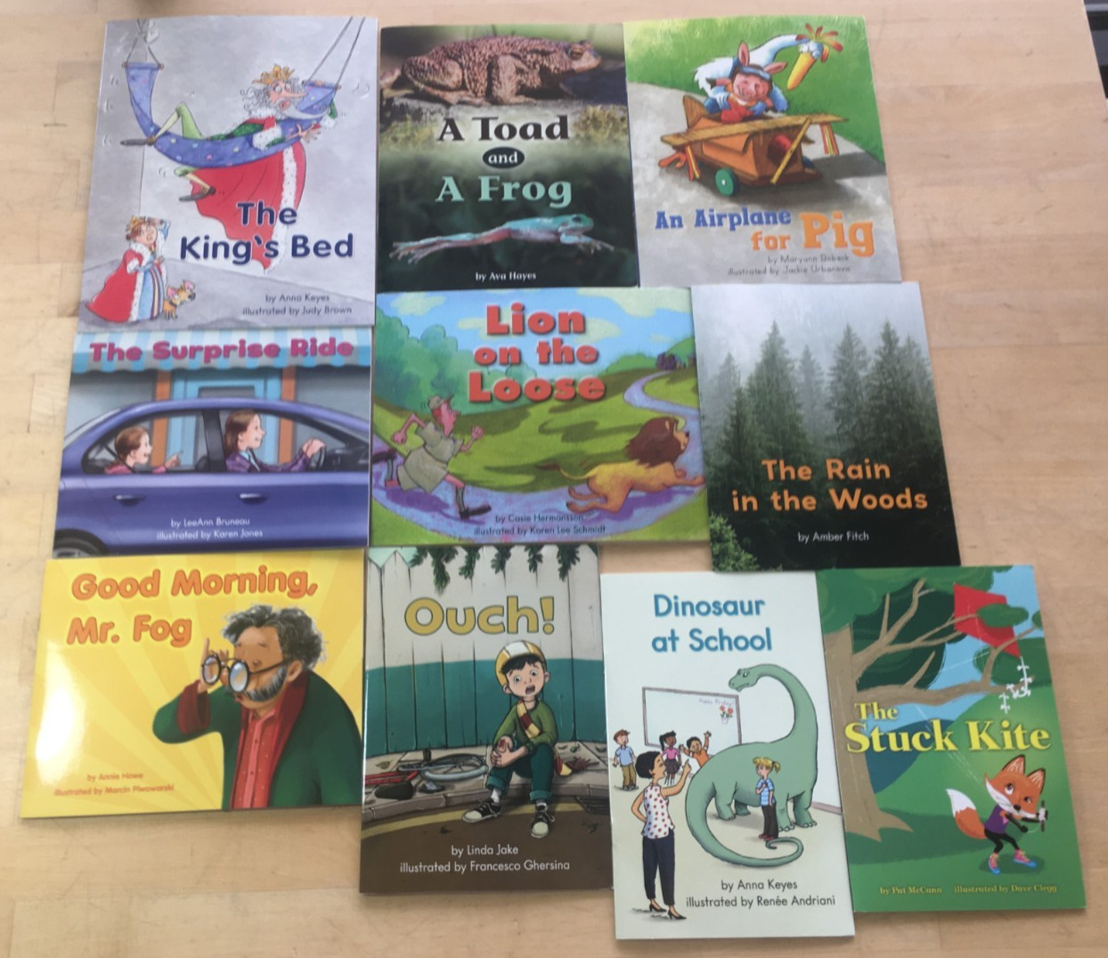 Lot of 10 Fountas & Pinnell Literacy Level E Leveled Readers – VG, Paperbacks